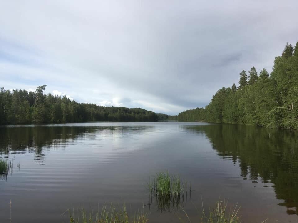 Skari til topps i Borredalen Rundt i Fredrikstad borredalsvannet.jpg