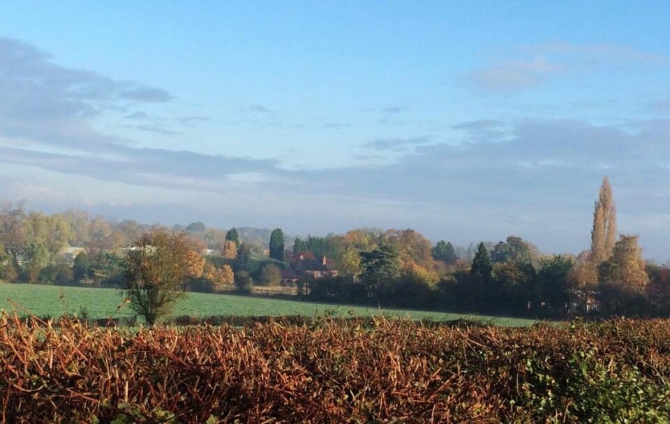 Titina fullførte 'Halloween 10in10' i Hartlebury England Landskap.jpg