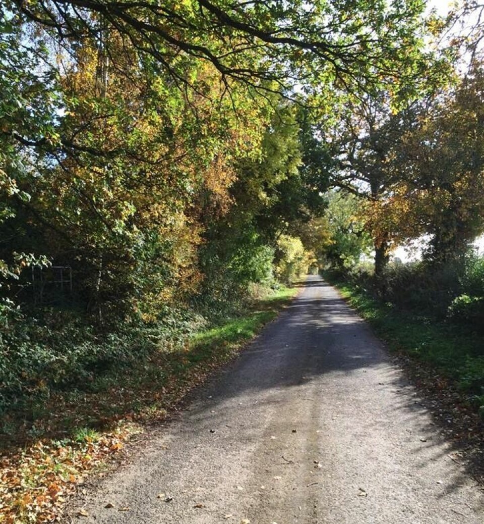 Titina fullførte 'Halloween 10in10' i Hartlebury England Fra_Løypa2.jpg