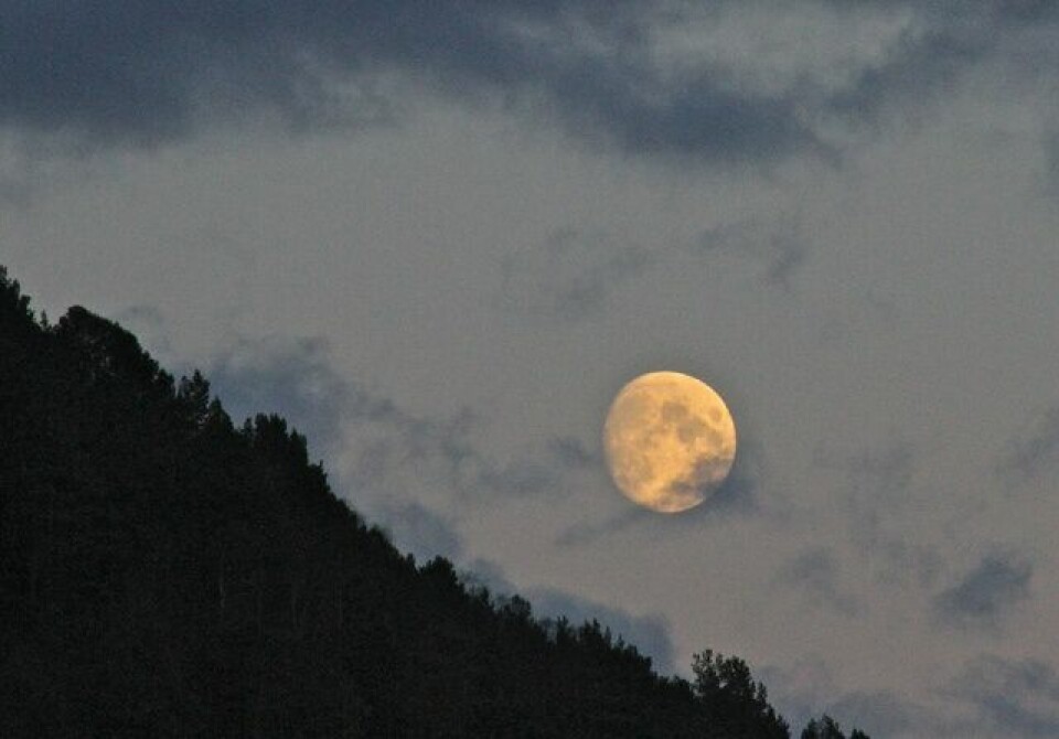 Vinterkarusell i Ålesund. Nå med VIDEO Moon.jpg