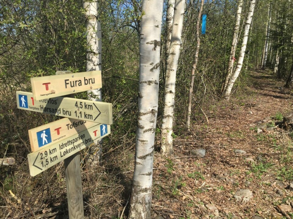 Årets HHT Ultra følger bl.a. Ilsengstiene som ble kåret til Norges beste turrute i 2019. (Foto: Margrethe Ruud Skjeseth) Årets HHT Ultra følger bl.a. Ilsengstiene som ble kåret til Norges beste turrute i 2019. (Foto: Margrethe Ruud Skjeseth)