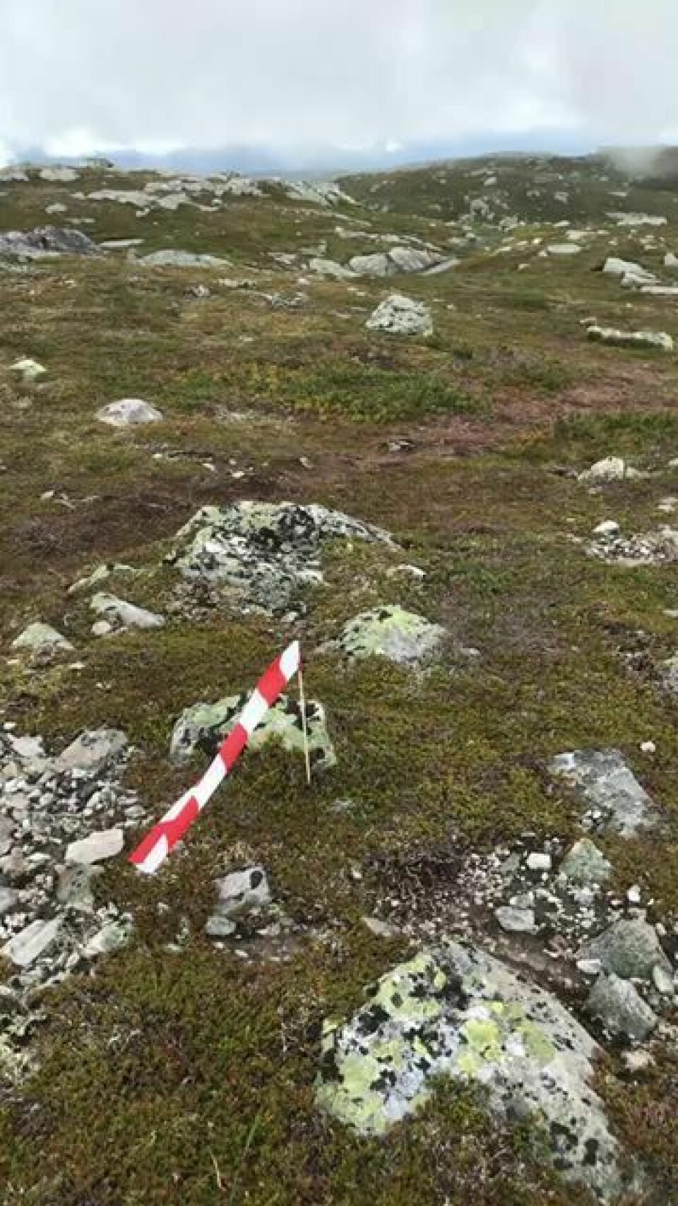 300 skal løpe Blefjells Beste til helgen, 125 på ultraløpet. merking.jpg