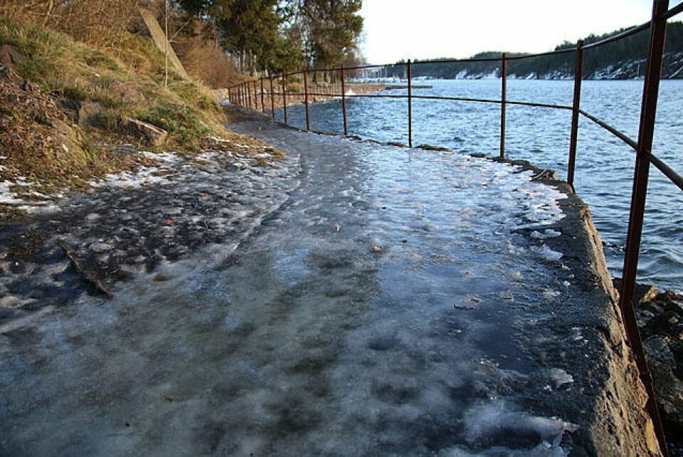 På glattisen i Ribbemaraton Sandvika - Ski Sollerudstranda_is_IMG_2092.jpg