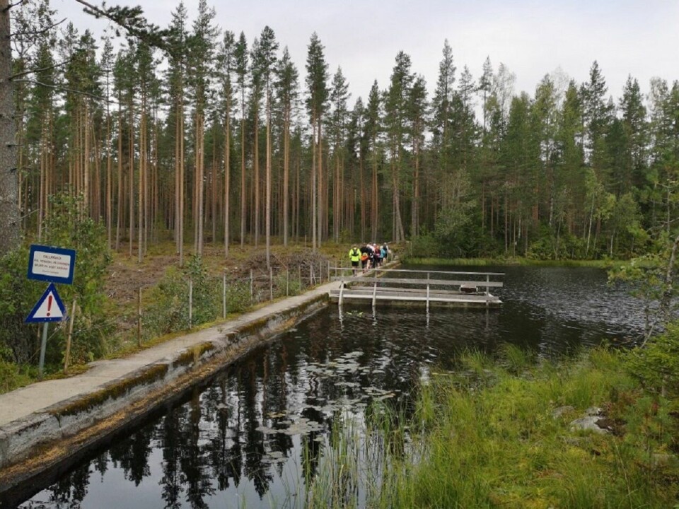 Stavåsens perle, Stavåsdammen, skal selvsagt besøkes i løpet av våren i stjernecupen i Elverum. Stavåsens perle, Stavåsdammen, skal selvsagt besøkes i løpet av våren i stjernecupen i Elverum.
