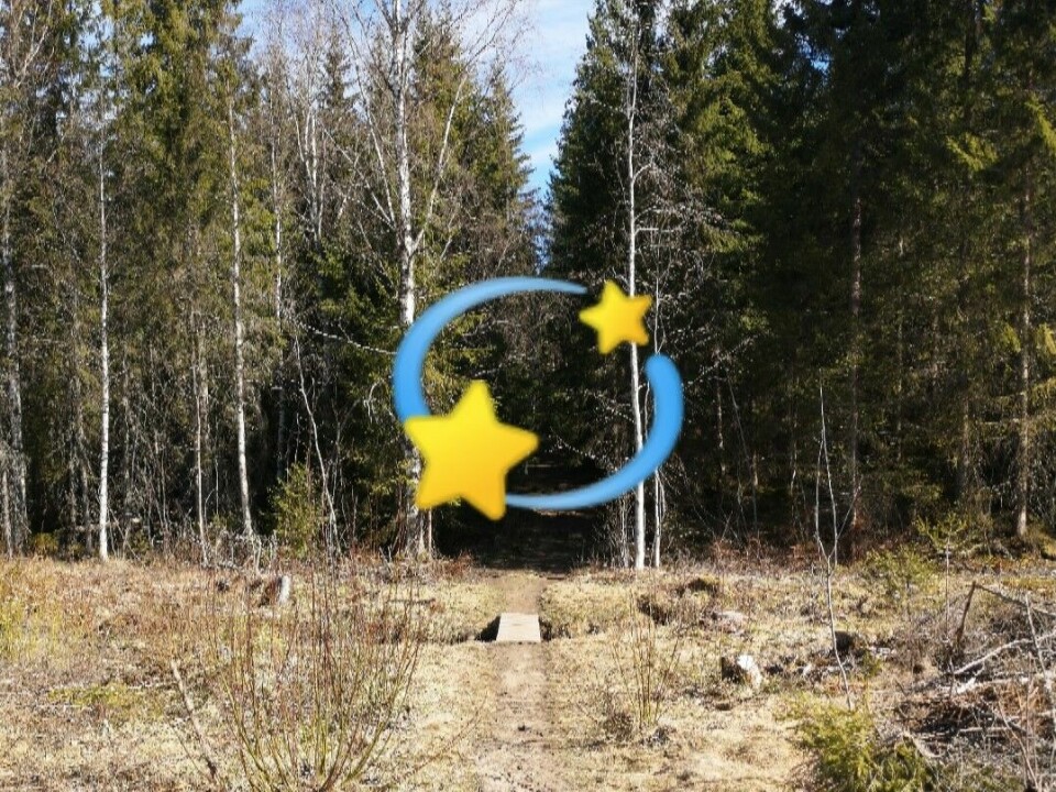 Stjernecupen - ny virtuell vårkarusell i Elverum i Kondis' regi Stjernecup-blde.jpg