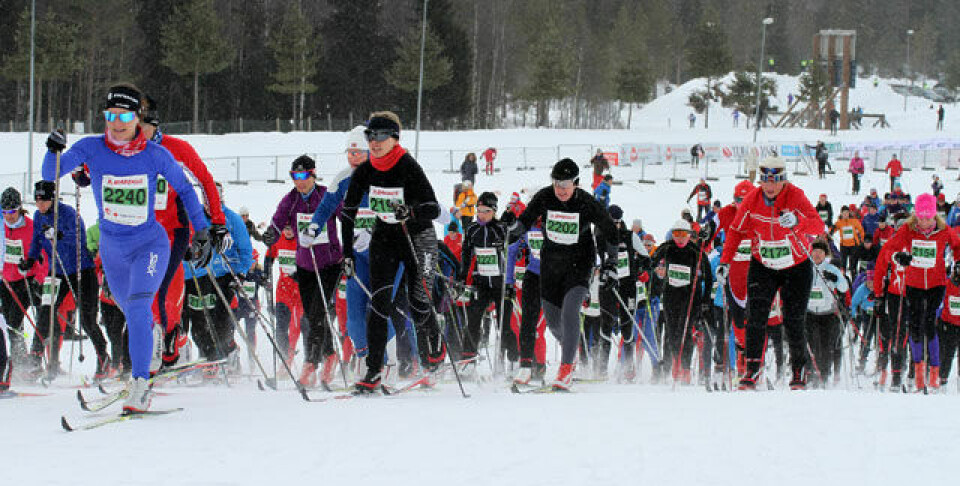 Årets jentefest