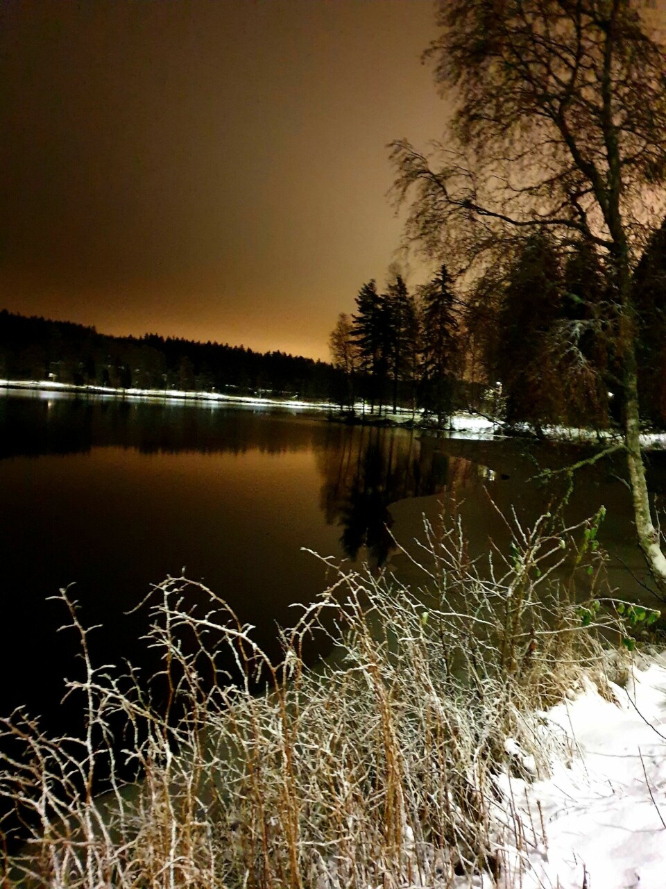 Kondistreninga – en for alle, alle for en Kondistreninga_Sognsvann.jpg