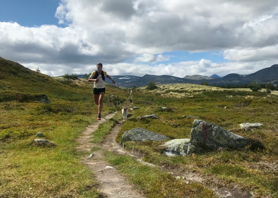 Inger Haugland fullførte 13-dagersturen Saga-ruta på 56 timer IMG-9938 (1280x909).jpg