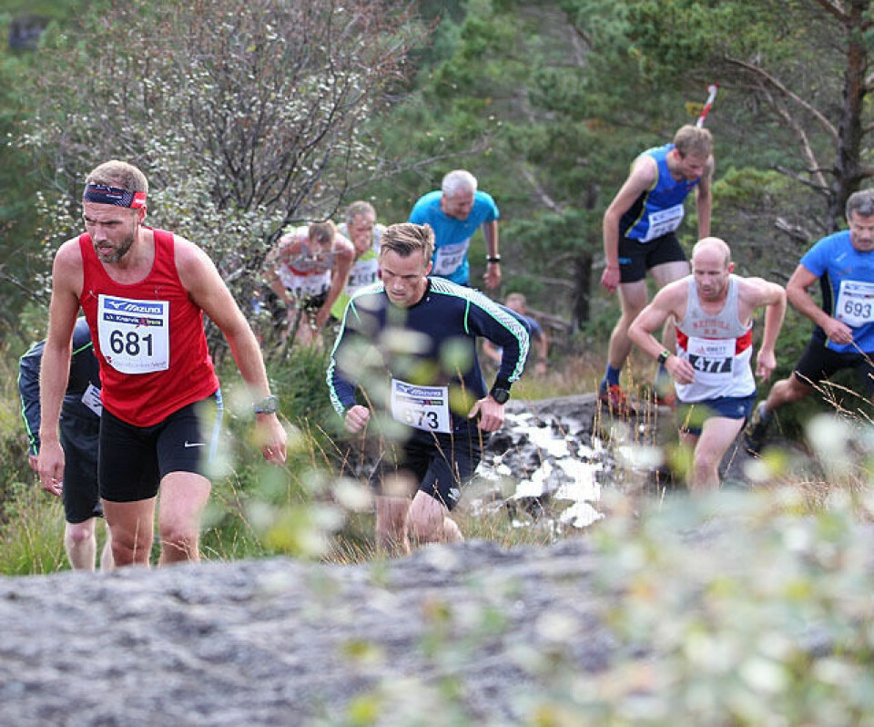 Tormod Vågenes, Haagen Nesse og engelske Leigh Stubbs (477) klatrer oppover etter 2 km. (Foto: Kjell Vigestad) Tormod Vågenes, Haagen Nesse og engelske Leigh Stubbs (477) klatrer oppover etter 2 km. (Foto: Kjell Vigestad)