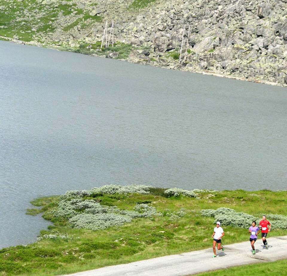 Løyperekorder i Rallarvegsløpet