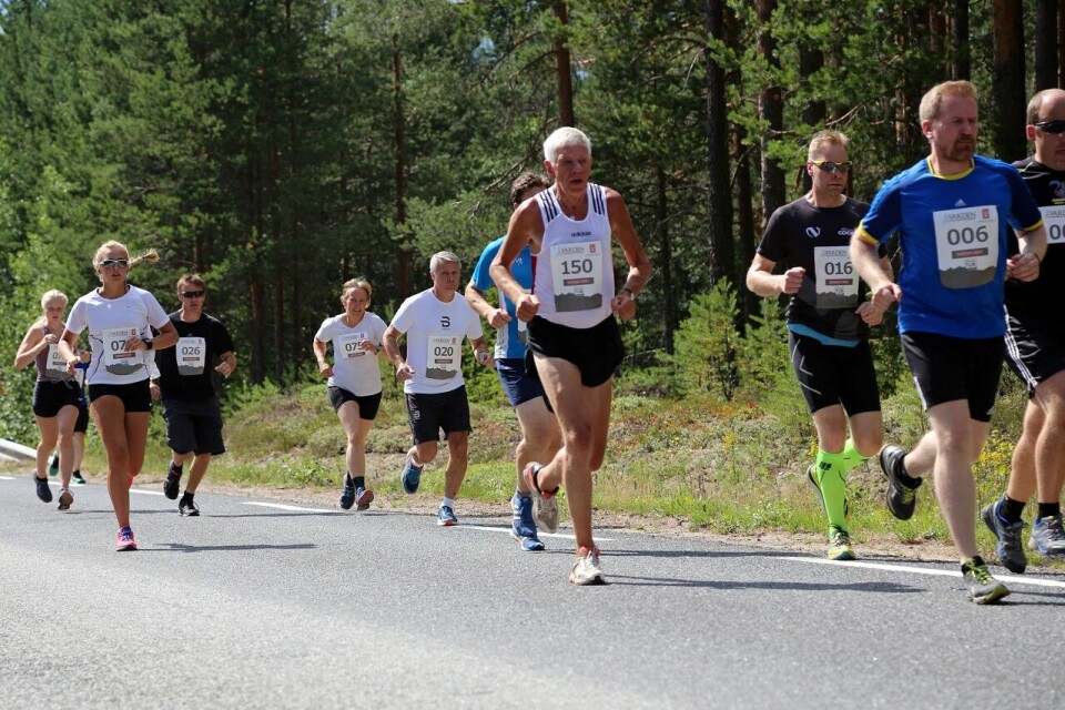 I GANG. Man kan løpe, jogge eller gå for å delta i Risberget Rundt. Det viktigste er en fin tur i skogen. (Foto: Knut Øsmundset) I GANG. Man kan løpe, jogge eller gå for å delta i Risberget Rundt. Det viktigste er en fin tur i skogen. (Foto: Knut Øsmundset)