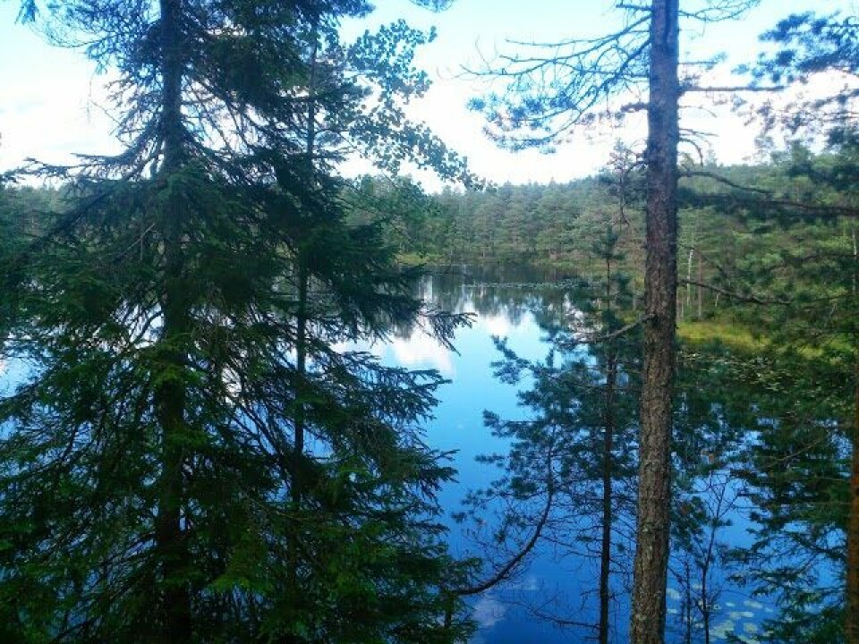 Fjellaløpet en naturopplevelse