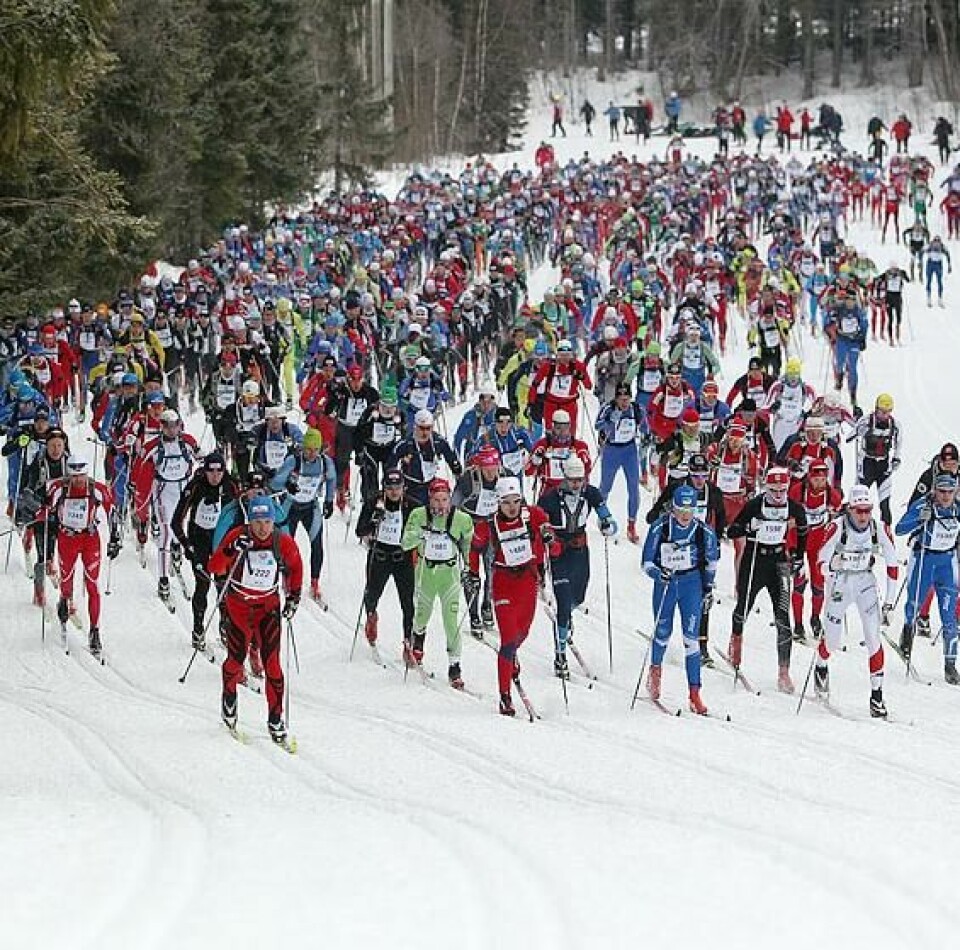 Kvinner elite først i Birkebeinerrennet Start_pulje2_A20G2272_cropped_567x560