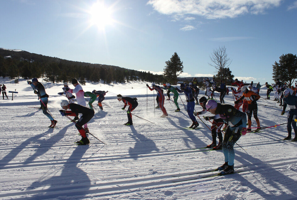 I strålende sol fullførte 517 deltakere årets utgave av Furusjøen Rundt-rennet. (Alle foto: arrangøren) I strålende sol fullførte 517 deltakere årets utgave av Furusjøen Rundt-rennet. (Alle foto: arrangøren)