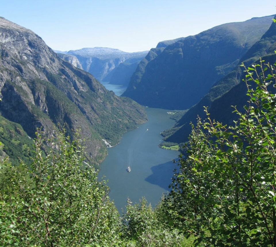 Klart for Rimstigen Opp 30. juli 640_Naeroyfjorden