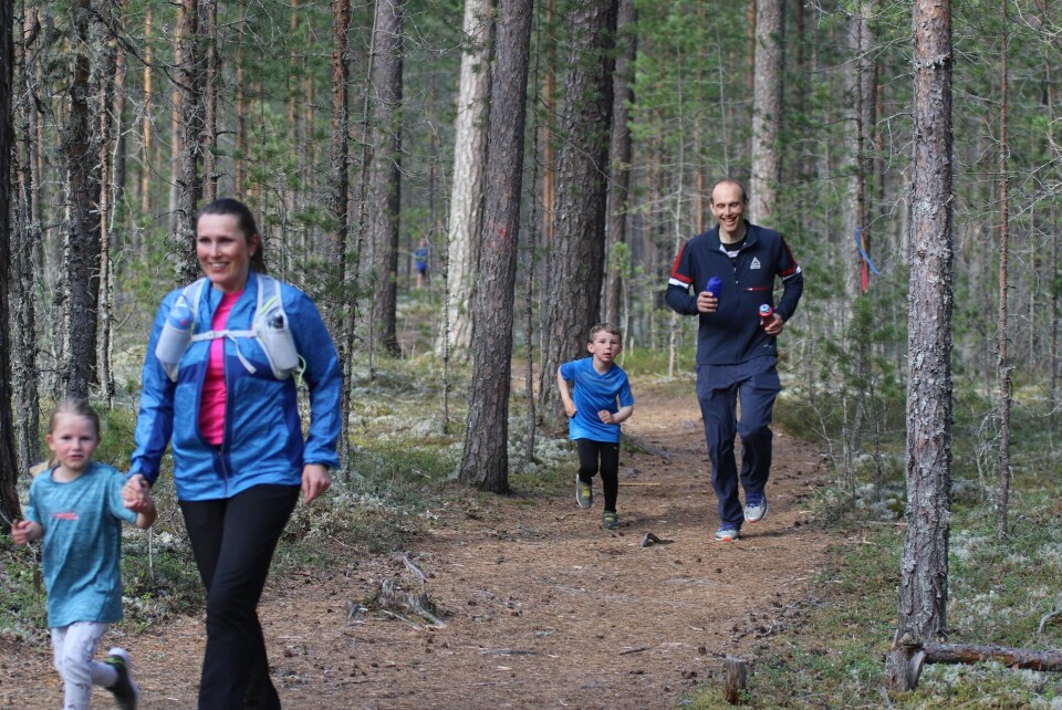 Elverumtrimmen med ungdommelig preg G¢y i skogen.jpg