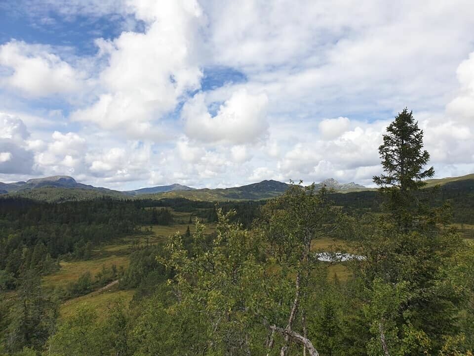 12 prøvde seg på Værstingen, Norges svar på Barkley Marathons FRa_terrenget_post6.jpg