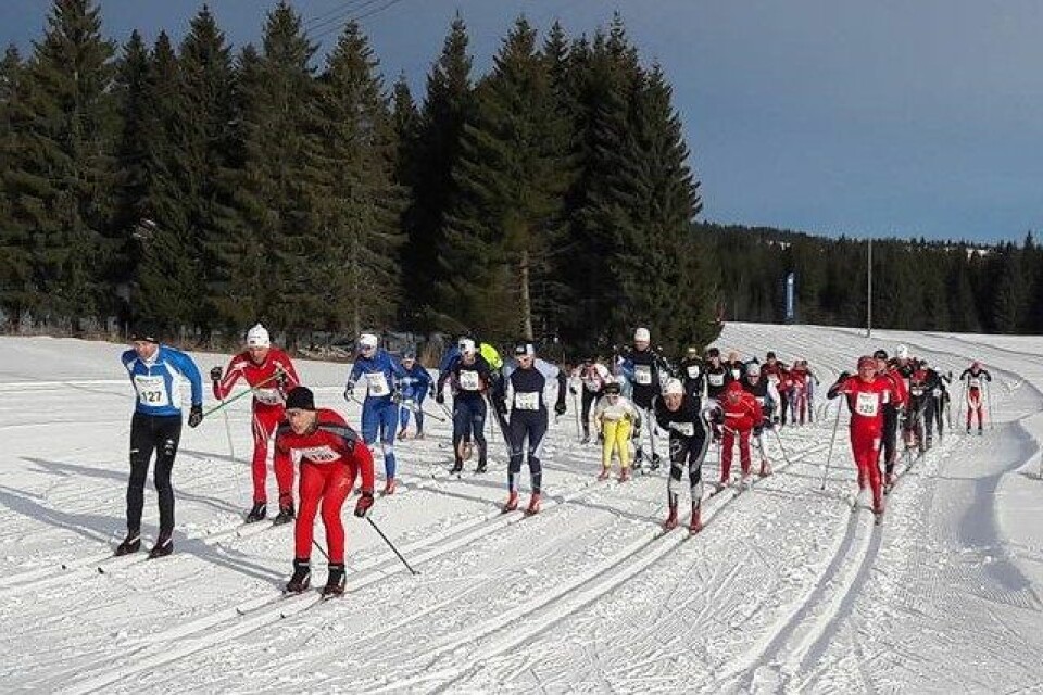 Linda Helland og Martin Thon vant Madshus Skimaraton Start_pulje_2.jpg