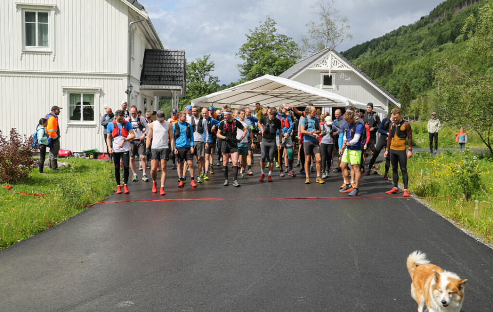 Start halvmaraton. Foto: Martin Hauge-Nilsen Start halvmaraton. Foto: Martin Hauge-Nilsen