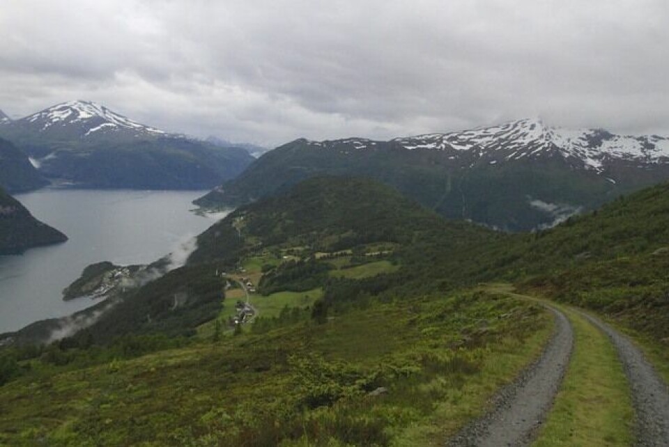 Weng og Bereket vant Mefjellet Opp