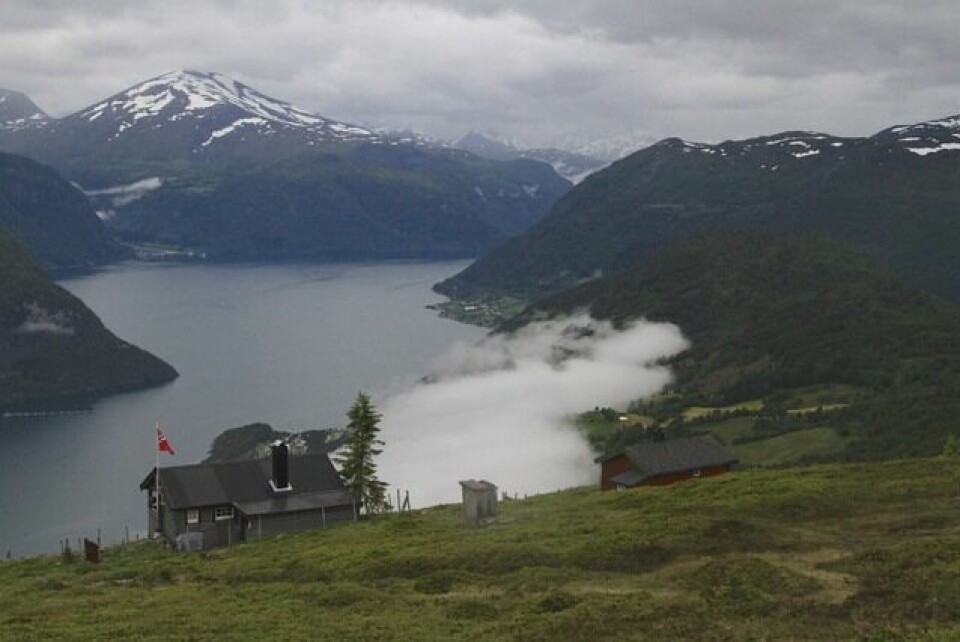 Weng og Bereket vant Mefjellet Opp