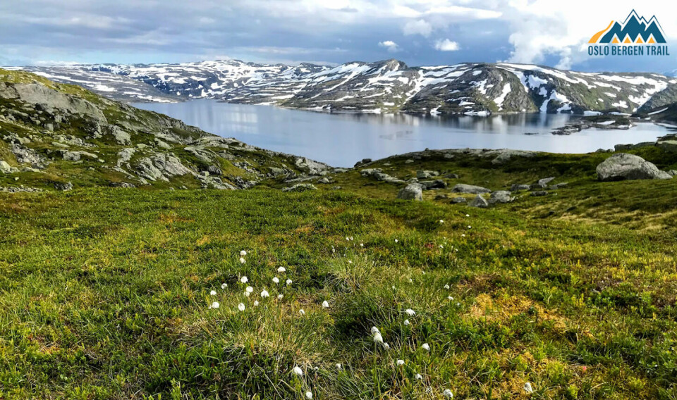 15. oktober åpner påmeldingen til Oslo Bergen Trail 2.-10. juli 2021 OBT_mlogo
