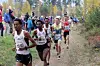 Fra starten på 10 km 2015 (foto: Tom Roger Johansen).