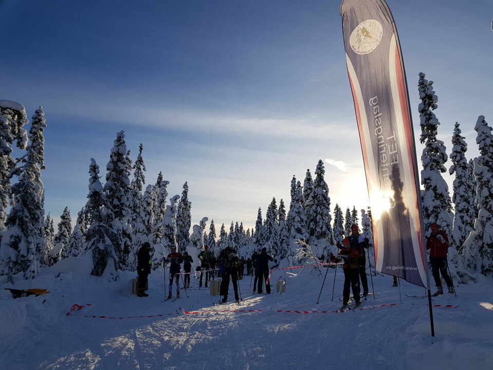 Anna Ulvensøen og Jørgen Baklid vant langdistansen i ski-o-NM Kaldt og strålende sol.jpg