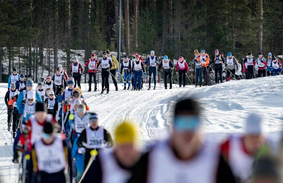 Vasaloppesuken byr på hele 14 løp, og i år blir det rekorddeltakelse fra utlandet. (Foto: Vasaloppet) Vasaloppesuken byr på hele 14 løp, og i år blir det rekorddeltakelse fra utlandet. (Foto: Vasaloppet)
