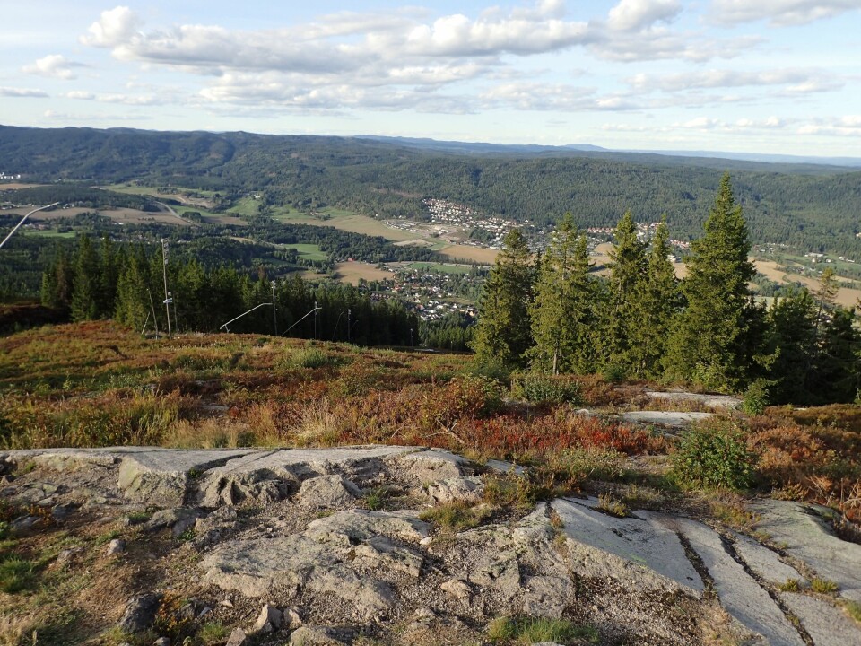 138 løp og gikk Varingskollen Opp P8217120.JPG