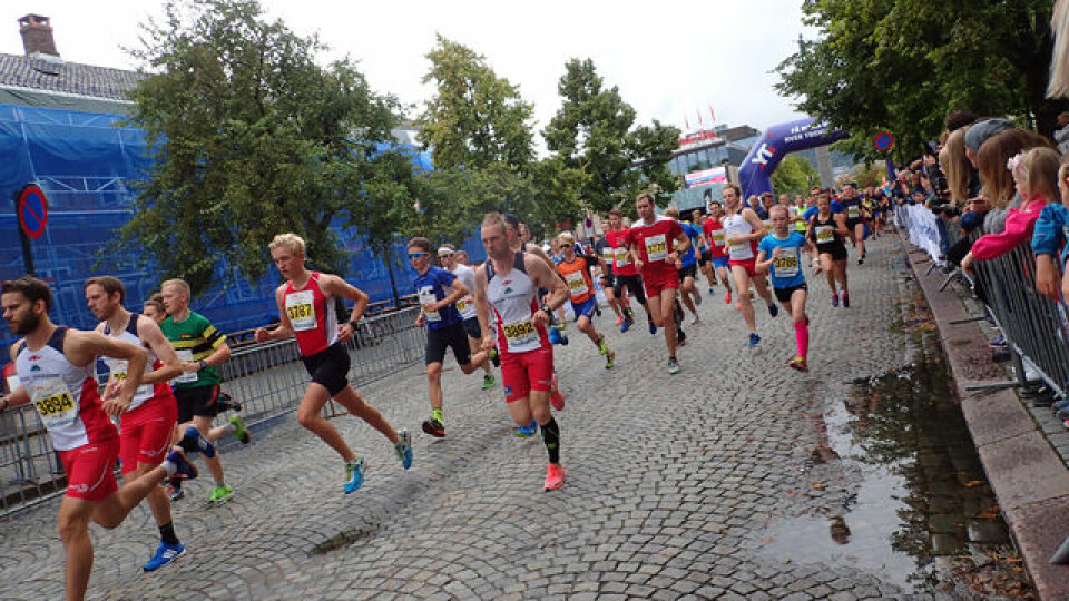 Therese Falk og Luke Campbell vant Trondheim Maraton P9030182_640pix_10km.jpg