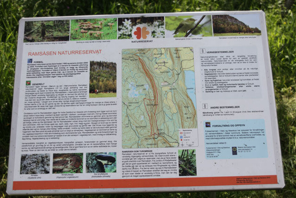 Merete Weng ett sekund bak Toftdals løyperekord i Opp Kantebakk Ramsaasen_Naturreservat_640_IMG_4919.jpg