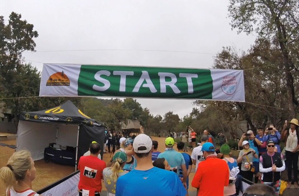 Maraton blant ville dyr - et løp på den afrikanske savannen Start maraton