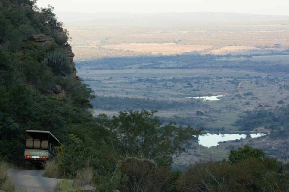 Maraton blant ville dyr - et løp på den afrikanske savannen Yellow wood valley.jpg
