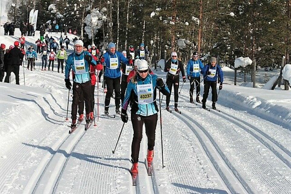 StafettBirken har mulighet til å utvikle seg til noe stort IMG_4052_like-etter-start.jpg