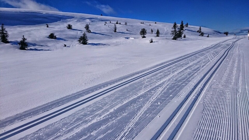 Forleng sesongen med vårlige skiturer! Trikkeskinner over Lunkefjell.jpg