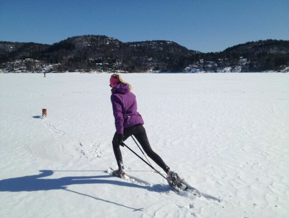 Ingrid Kristiansens blogg: Skader og risiko ved fysisk aktivitet ski_i_sol_640x480