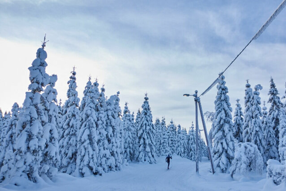 Bruland og Post vant praktfull Vestergyllen! 233_Vester-Gyllen_24012016.jpg