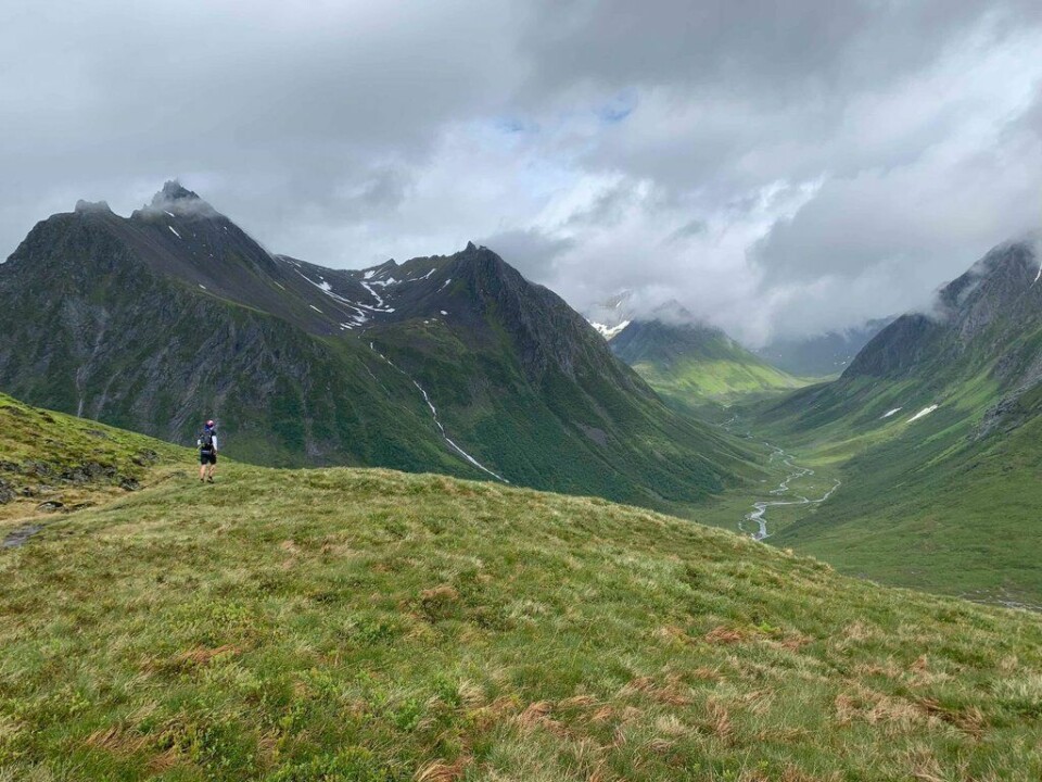 På vei ned til Mosætra. Langedalen i bakgrunnen. Foto: Torill Nydal. På vei ned til Mosætra. Langedalen i bakgrunnen. Foto: Torill Nydal.