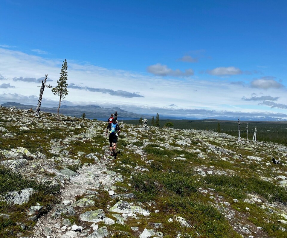Janne kom sterkt tilbake etter hjernehinnebetennelse og vant XREID Femundmarka_FotoJanneDahle.jpg