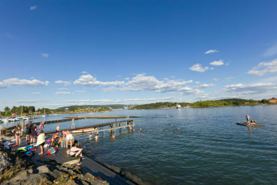Løyperekord i sommeridyllen Lindøya Rundt Bading_226_lindoya_rundt_20072017.jpg