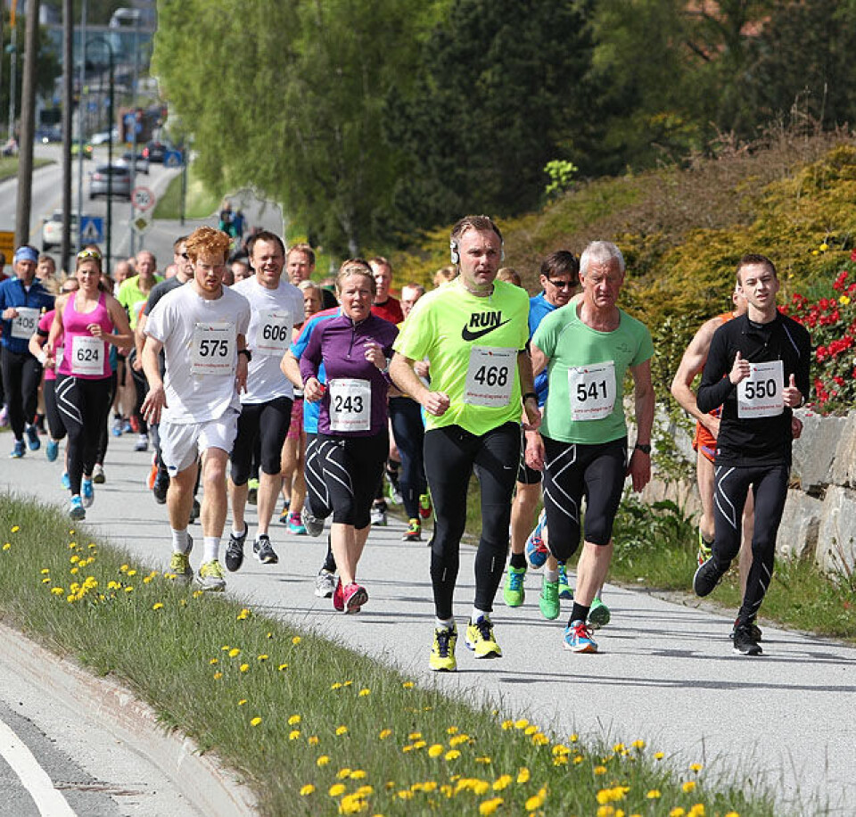 Deltakerrekord i Ålesund Maraton Startbilde2_A20G7902.jpg