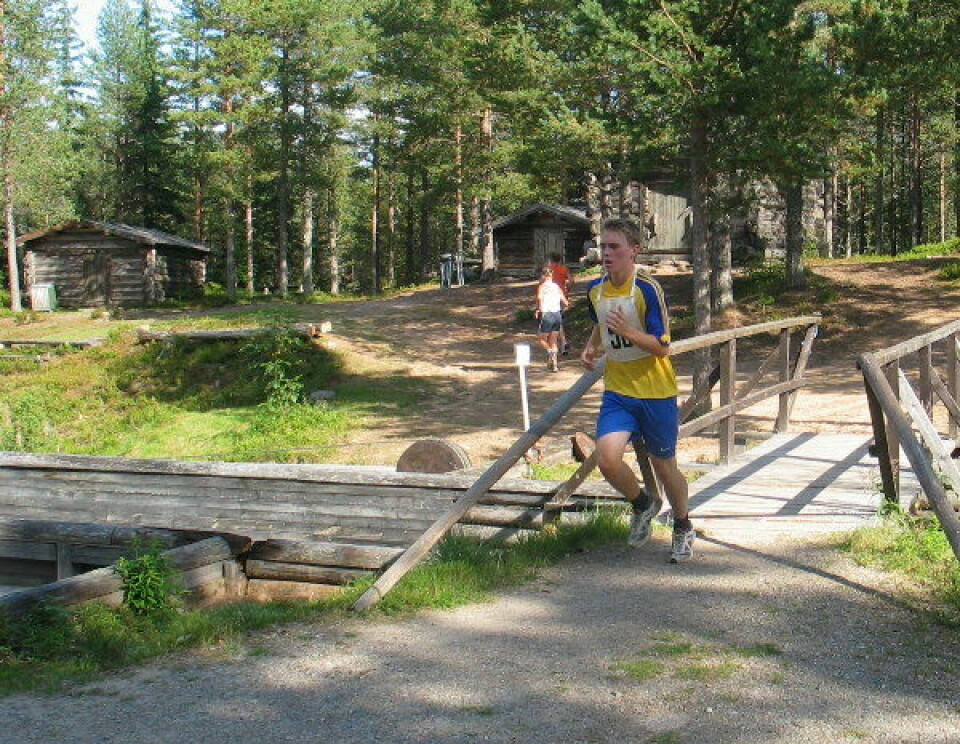 Grensetrimmen i Trysil for 33. gang på lørdag Grensetrimmen_blaa-gult.jpg