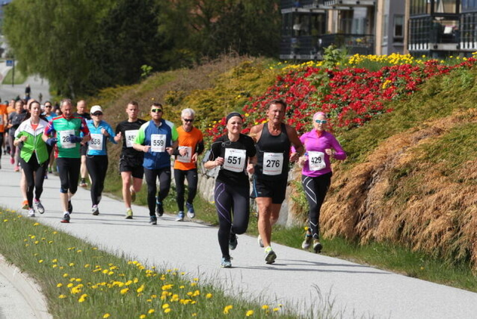 Deltakerrekord i Ålesund Maraton Start_7