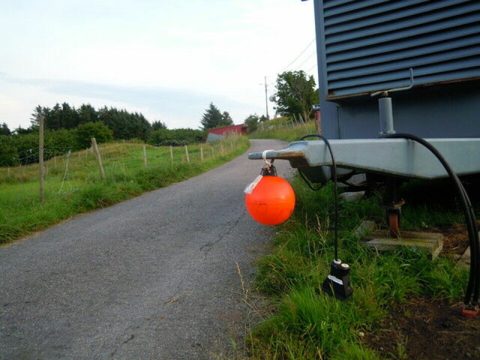 Eventyret på Møkster - kapittel 2 - Stor auke i deltakarar Arrangøren bryr seg_640x480.jpg
