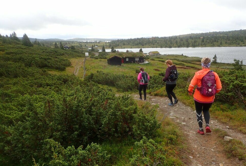 Bli med Kondis på løpe- og yogahelg på Hafjell Løpesamling for Kondis på Ilsetra august 2020
