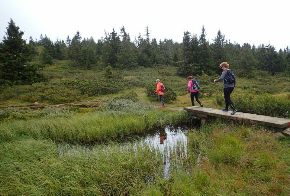Bli med Kondis på løpe- og yogahelg på Hafjell F.v.: Yngvild Schwung Nilsen, Alice Steinkellner og Laila Tjelmeland på løpesamling for Kondis på Ilsetra august 2020