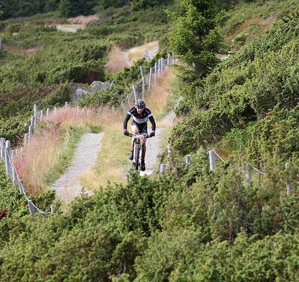 Bjørnstad og Svaland delte seieren