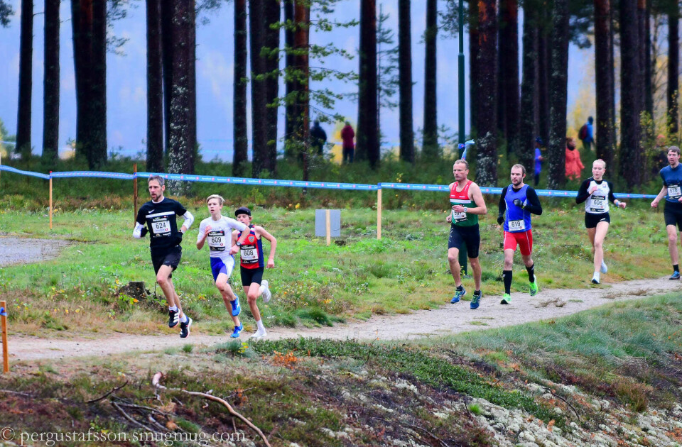 Regnet klarte ikke å ødelegge de flotte løypene i Furumomila, og det ble som vanlig løpt fort. Her ser vi teten på 5 km med andremann Dag Skretteberg foran vinneren Håkon Fleicher og litt bakenfor raskeste kvinne, Ingrid Folvik. (Foto: Per Gustafsson) Regnet klarte ikke å ødelegge de flotte løypene i Furumomila, og det ble som vanlig løpt fort. Her ser vi teten på 5 km med andremann Dag Skretteberg foran vinneren Håkon Fleicher og litt bakenfor raskeste kvinne, Ingrid Folvik. (Foto: Per Gustafsson)
