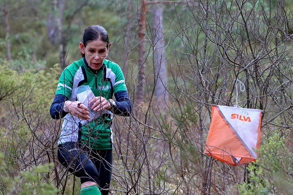 Trude Fixdal sjekker inn på den siste posten i A-løypen. Hun var den eneste i klasse D60 og eldre som løp den lengste løypen. (Alle foto: Arne Dag Myking) Trude Fixdal sjekker inn på den siste posten i A-løypen. Hun var den eneste i klasse D60 og eldre som løp den lengste løypen. (Alle foto: Arne Dag Myking)